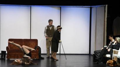 Bild: Petra Hartl
Begeisterten Applaus gab es für "Madame Bovary" am Stadttheater Amberg. Die Inszenierung vom Theater Wahlverwandtschaften kam beim Publikum bestens an.