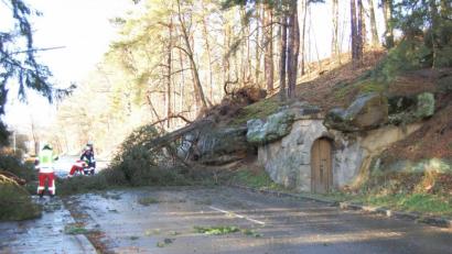 Bild: az
Die Felsmühlstraße in Grafenwöhr ist am Montag zeitweise durch umgestürzte Bäume blockiert.
