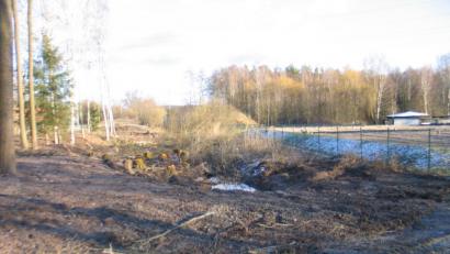Bild: bkr
Links der von Laubbäumen gesäuberte Saum. Ein Graben trennt ihn vom Geomatrix-Filter auf der rechten Seite.