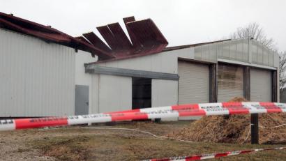 Bild: Wolfgang Steinbacher
Sturm "Sabine" hat in Thonhausen das Dach eines Pferdestalls abgedeckt. Die Feuerwehr brachte die Tiere in Sicherheit und sperrte den Bereich um das Gebäude sicherheitshalber ab.