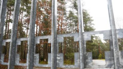 Bild: Gabi Schönberger
Im nördlichen Bereich des Waldfriedhofs will die Stadt einen Naturfriedhof schaffen. Dort können Urnen dann an den Wurzeln eines Baumes bestattet werden.