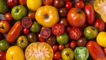 Bild: kaliantye – stock.adobe.com
Tomaten sind nicht einfach nur rot: Sie kommen in allen Farben und Formen.