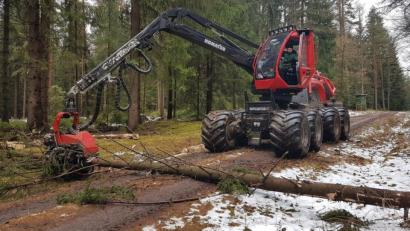 Bild: Florian Fischer/exb
Forstunternehmer Stefan Kraus vom gleichnamigen Forstbetrieb aus Poppenreuth räumt im Revier Hatzenreuth mit dem Harvester auf.