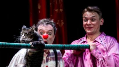 Bild: EuropaArts/exb
Katzentheater