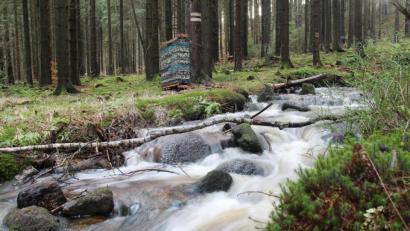 Bild: sfo
Im Naaber Wald rauscht der Bach nach dem ergiebigen Regen. Nun soll gemessen werden, ob aus den Bohrlöchern in dem Waldgebiet Naab Richtung Blockhütte, die in den 90er Jahren geschaffen wurden, genügend Wasser gefördert werden kann.