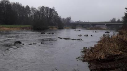 Bild: hm
„Störsteine“, „Nierenbecken“ als Jungfischhabitate, Einbau von Totholz: Mit diversen Aktionen verbessern die Angler die Bodenstrukur im Bereich der Naab.