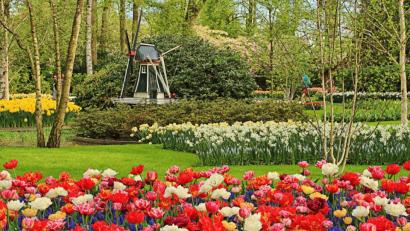 Repro: nm
Eine von Anna Müller festgehaltene Farbenpracht, die das Herz höher schlagen lässt, bietet sich am Keukenhof. Und dazwischen findet sich als Dekoration eine Windmühle.