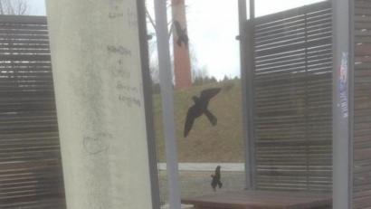 Bild: exb
Das Kunststoffkästchen an der Bushaltestelle an der Mitterteicher Straße in Waldsassen.