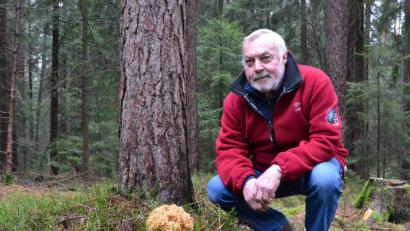 Bild: sfo
Egon Rabenstein hat im Waldgebiet "Herrenholz" ganz in der Nähe vom Kemnather Waldkindergarten eine Krause Glucke gefunden.