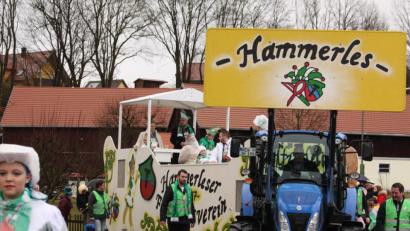 Bild: R. Kreuzer
Die Hammerleser Prinzenpaare thronen auf dem Wagen.