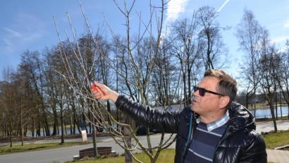 Bild: Harald Schlöger
Gartenfachberater Harald Schlöger erklärt, wie ein Baumschnitt fachgerecht ausgeführt wird.