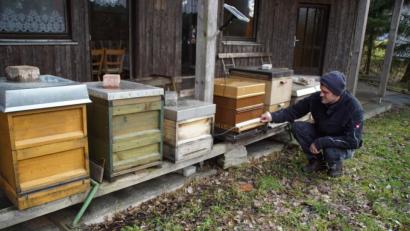 Bild: mmj
Imker-Vorsitzender Stefan Weinfurtner begutachtet die Sauberkeit der Fluglöcher an den Bienenkästen beim Lehrbienenheim.