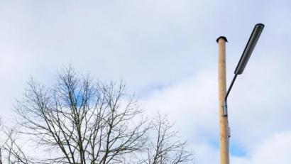 Bild: do
Doppelt so viele Straßenlampen wie bisher sollen die Ortsdurchfahrt von Höflas besser ausleuchten. Weichen muss allerdings laut Beleuchtungsplan des Bayernwerkes eine Peitschenleuchte am Holzmast neben der Dorflinde (Bild). Das gefällt nicht jedem Höflaser. Einige Bewohner befürchten ausgerechnet in der Dorfmitte "ein finsteres Loch".