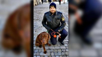 Bild: Polizeiinspektion Regensburg Süd
In der Regensburger Innenstadt war am Mittwoch ein freilaufender Labrador unterwegs. Die Polizei versucht nun den Besitzer ausfindig zu machen.