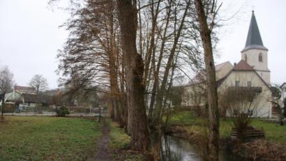 Bild: sne
Der Grafenwöhrer Stadtrat beschließt, am Thumbach einen Treff für Radler zu schaffen. Das Areal soll so gestaltet werden, dass es auch für Schüler, Spaziergänger und Senioren attraktiv ist.