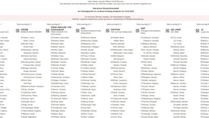 Screenshot: www.amberg-sulzbach.de/wahlen
So sieht der Wahl-Simulator auf der Homepage des Landratsamtes aus. Macht der Test-Wähler einen Fehler, leuchtet oben ein roter Balken auf.