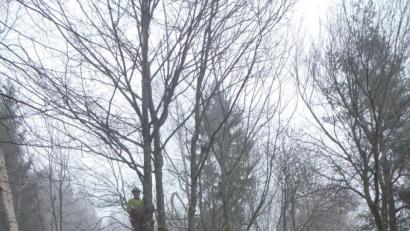 Bild: exb
Obwohl die Badesaison noch weit entfernt liegt, starten schon erste Pflegemaßnahmen im Waldfreibad. So entfernen erfahrene Baumkletterer dürre Zweige und abgestorbene Äste an den Bäumen.