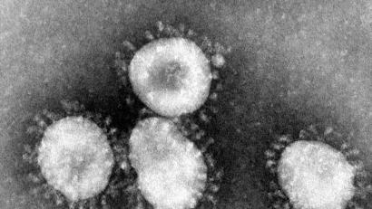 Bild: Center for Disease Control/dpa
Symbolbild zum neuartigen Coronavirus.