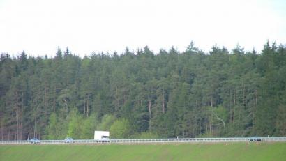 Bild: sl
Hier ein Teil der Pachtfläche, die bei Wittschau durch die A6 durchtrennt wurde und sie umfaßt insgesamt 732 Hektar und erstreckt sich über einen Großteil der ehemalige Gemeinde Döllnitz bis zur Pfreimd.