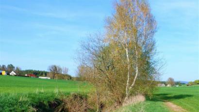 Bild: jml
Für die Rest-Erschließung des Radweges entlang vom Eichelbach zwischen Bauhof und Hannersgrün erhält die Gemeinde hohe Zuschüsse.