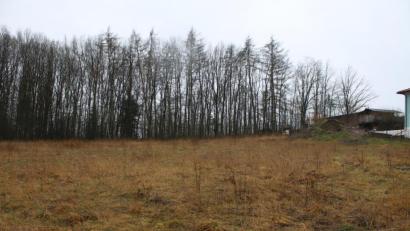 Bild: sne
Die Bäume müssen weichen, dann soll hier der Wertstoffhof für die Gemeinde Parkstein entstehen. Im Hintergrund sind die Gebäude des Bauhofs zu erkennen.