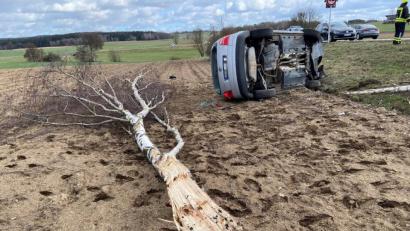Bild: Beer
Beim Aufprall wurde die Birke entwurzelt. Der Fahrer wurde eingeklemmt, kam aber trotzdem mit leichten Verletzungen davon.