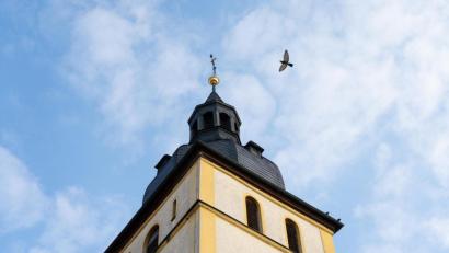 Bild: Nicolas Armer/dpa
Eine Taube kreist über der Kirche St. Jakob im Ortszentrum von Mitterteich. Der Ort im Landkreis Tirschenreuth steht derzeit im Mittelpunkt der Corona-Berichterstattung.