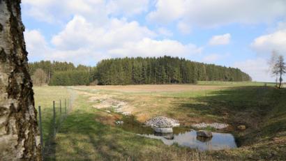 Bild: akp
Viele Verkehrsteilnehmer rätselten wegen dieses Nutureingriffs in der Nähe von Lampenricht. Das Grundstück dient als Ausgleichsfläche für eine Streinbrucherweiterung und hilft der Natur.