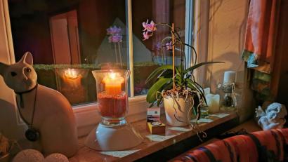 Bild: gz
Ohne Licht wäre das Leben auf der Erde nicht möglich und die wichtigste und stärkste Lichtquelle ist die Sonne.