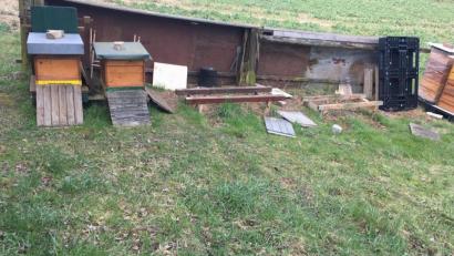 Bild: exb
Von einem Standort am Alten Postweg verschwanden von Mittwoch auf Donnerstag vier Bienevölker samt ihrer Behausungen.