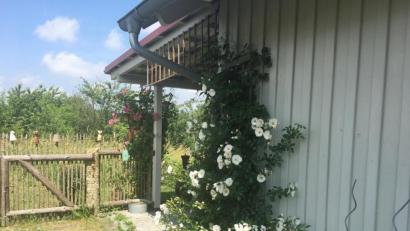 Bild: lg
In einem naturbelassenen Garten sind die Gehwege nicht frei von Bewuchs: "Es gibt kein Unkraut im Garten!"