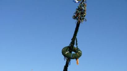 Archivbild: kgg
In Waldsassen soll es dieses Jahr, trotz Coronakrise, wieder einen Maibaum geben. Allerdings wird er kleiner ausfallen als der im vergangenen Jahr (Bild).