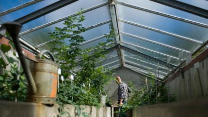 Bild: Franziska Gabbert/dpa
Im Gewächshaus kann man jetzt schon freie Zeit sinnvoll investieren: Putzen, Unkraut entfernen, anpflanzen.