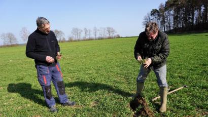 Bild: wec
Georg Straller (links), der Vorsitzende der Erzeugergemeinschaft Qualitätsgetreide, begutachtet mit dem Berater der NU Agrar, Hansgeorg Schönberger, eines seiner Felder in Ipflheim. Stellvertretend für alle Mitglieder befragt er den Fachmann zu den notwendigen nächsten ertragssichernden Maßnahmen.