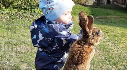 Bild: fvo
Der kleine Hannes und Hase Monty warten auf Ostern.
