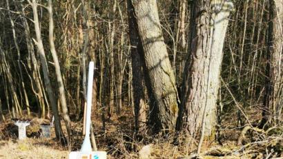 Bild: gz
Nicht gerade einladend wirkt ein alter Reifen mit Felge direkt an einer Sitzgelegenheit.