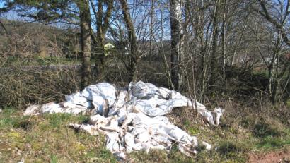 Bild: exb
Erntefolien im Gebüsch abgelagert. Dies ist nicht der einzige Fall, in dem Folien aus der Landwirtschaft in der Natur im Gemeindebereich Kulmain entsorgt wurden.
