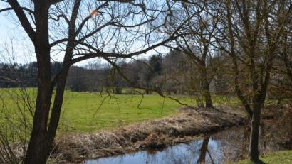 Bild: dob
Pfreimd in Altentreswitz