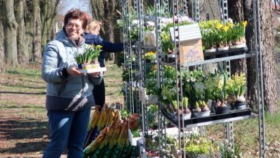 Bild: Hirsch
Die Kunden sind dankbar für das Angebot der Gärtnereien und decken sich mit Frühlingsblumen ein.