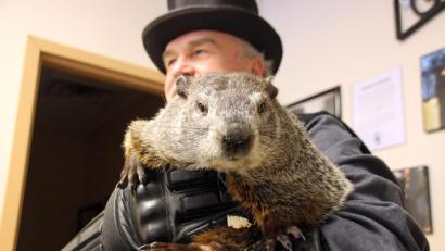 Bild: Christina Horsten/dpa
Punxsutawney hat das bekannteste aller Murmeltiere, Vorlage für den Filmklassiker "Und täglich grüßt das Murmeltier". Ständige Wiederholungen prägen unseren Alltag - bis die Krise kommt.
