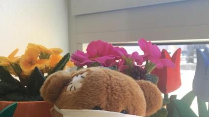 Bild: exb
Die Kuscheltier-Challenge als spaßige Aufgabe in Coronazeiten begeisterte die Kinder. Die Wernberg-Köblitzer Schüler gingen als Sieger hervor.