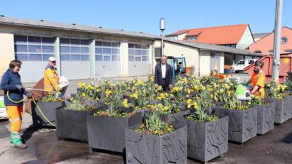 Bild: Stadt Tirschenreuth/exb
Bürgermeister Franz (Zweiter von rechts.) freut sich mit Andrea Nickl, Thomas Keller und Rosi Rahn vom städtischen Bauhof (von links.) über die bunte Vielfalt.