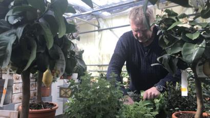 Bild: wpt
Weil Pflanzen auch jetzt wachsen, arbeitet Gärtnermeister Erich Ritschel weiter wie immer. Er überlegt mit einer Baumschule zusammen, einen Podcast für Kunden rund ums Thema Garten zu starten.