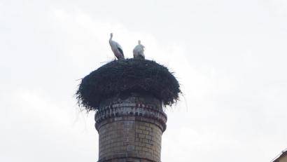 Bild: gz
Das Eslarner Storchenpaar ist mit dem Ausbrüten der Eier beschäftigt.