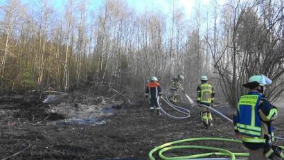 Bild: nic
Am Mittwochabend brannte zwischen Schwarzenbach und Grün eine Fläche in einem Waldabschnitt.