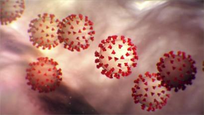 Bild:  Center for Disease Control/Planet Pix via ZUMA Wire/dpa
Diese vom Center for Disease Control and Prevention (CDC) erstellte Illustration zeigt das neuartige Coronavirus 2019.