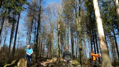 Bild: Portner
Abstand gilt in Coronazeiten auch beim Ortstermin im Wald: Ingo Greim vom Forstbetrieb Flossenbürg (von links) und Forstdirektor Gerhard Hösl lassen sich von Revierleiter Rudolf Stadler die zum Fällen markierten Bäume zeigen. Ab 14. April läuft die Abholzaktion in Sichtweite zum Stückberg-Aussichtsturm an.