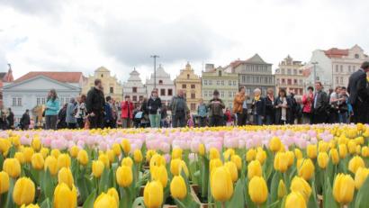 Bild: eib
Mit dem Bild vom Kulturhauptstadt-Blumenmeer 2015 in Pilsen, verbindet das Centrum Bavaria Bohemia (CeBB) die Ostergrüße ans Nachbarland 2020.