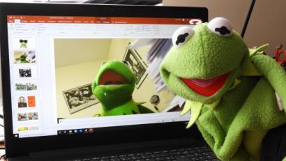 Bild: Silke Winkler
Tatsächlich ziemlich surreal: Kermit der Frosch lehrt Schülern der FOS/BOS online, was Surrealismus ist.