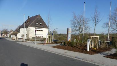 Bild: rn
Nicht zu übersehen ist die neue Bepflanzung in der Eschenbacher Jahnstraße